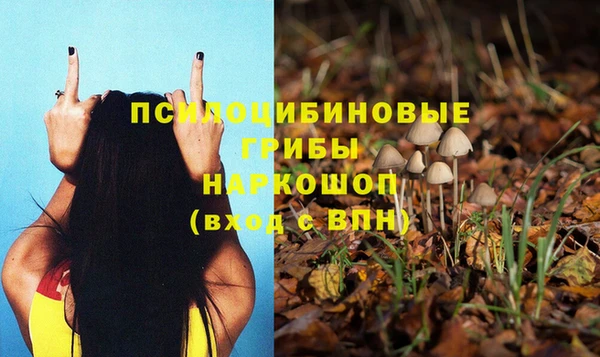 МДПВ Медногорск