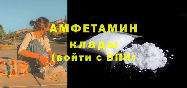 шишки Медвежьегорск