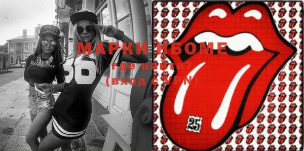 шишки Медвежьегорск