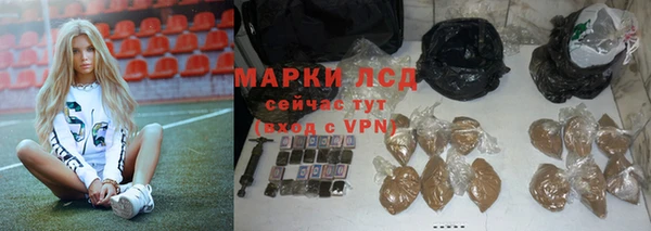 шишки Медвежьегорск