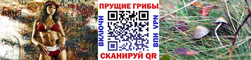 Галлюциногенные грибы Psilocybine cubensis  Купить  Тюмень 